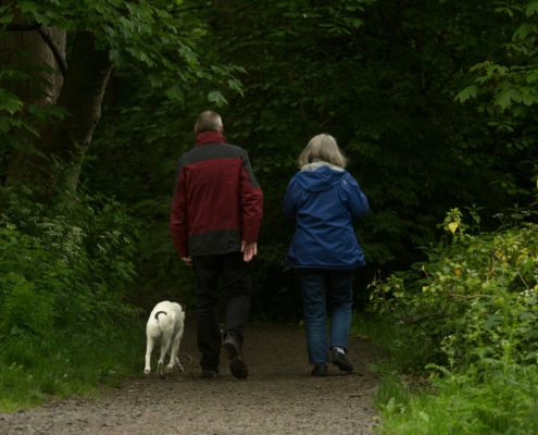 a couple walking through the woods with a dog