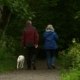 a couple walking through the woods with a dog